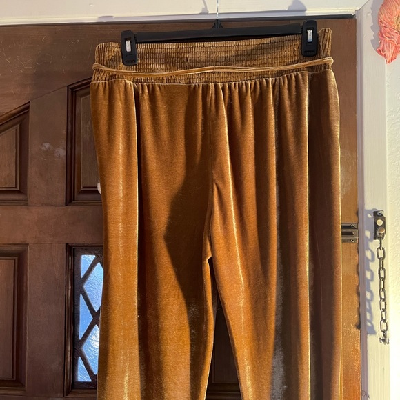 NWOT beautiful brown/gold elastic waist velvet high waisted joggers - Picture 4 of 5
